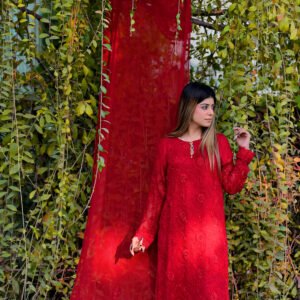 LaaL stitched—(001)